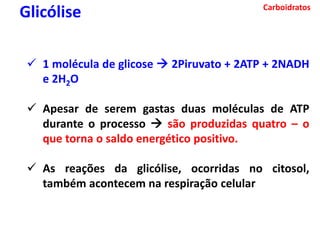 Carboidratos
Glicólise
 1 molécula de glicose  2Piruvato + 2ATP + 2NADH
e 2H2O
 Apesar de serem gastas duas moléculas de ATP
durante o processo  são produzidas quatro – o
que torna o saldo energético positivo.
 As reações da glicólise, ocorridas no citosol,
também acontecem na respiração celular
 