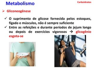 Carboidratos
Metabolismo
 Gliconeogênese
 O suprimento de glicose fornecida pelos estoques,
fígado e músculos, não é sempre suficiente
 Entre as refeições e durante períodos de jejum longo
ou depois de exercícios vigorosos  glicogênio
esgota-se
 