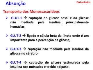 Carboidratos
Absorção
Transporte dos Monossacarídeos
 GLUT-1  captação de glicose basal e da glicose
não mediada pela insulina, principalmente
hemácias;
 GLUT-2  fígado e célula beta da ilhota onde é um
importante para a percepção da glicose;
 GLUT-3  captação não mediada pela insulina da
glicose no cérebro;
 GLUT-4  captação de glicose estimulada pela
insulina nos músculos e tecido adiposo.
 