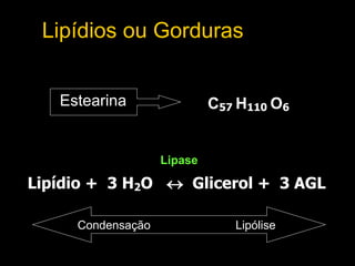 Lipídios ou Gorduras
Lipídio + 3 H2O  Glicerol + 3 AGL
C57 H110 O6
Lipase
Estearina
Condensação Lipólise
 