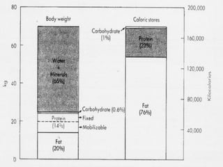 Classificação Geral das Gorduras:
 Gordura Simples
Ceras
Cera de abelha
Gorduras neutras
Triacilgliceróis (triglicerídios)
95 % da gordura corporal
 