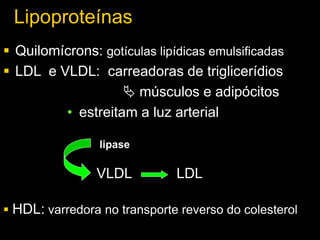 Lipoproteínas
 Quilomícrons: gotículas lipídicas emulsificadas
 LDL e VLDL: carreadoras de triglicerídios
 músculos e adipócitos
• estreitam a luz arterial
VLDL
lipase
LDL
 HDL: varredora no transporte reverso do colesterol
 