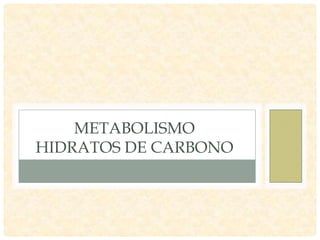 Metabolismo HC
