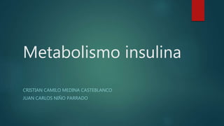 Metabolismo insulina
CRISTIAN CAMILO MEDINA CASTEBLANCO
JUAN CARLOS NIÑO PARRADO
 
