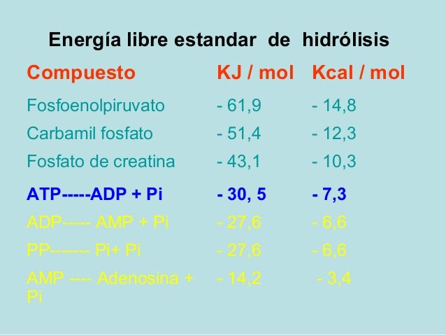 Similar a Menú dieta cetogénica