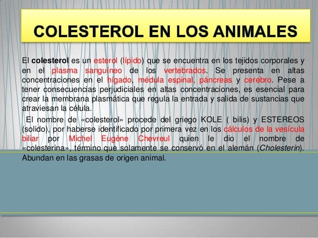 como acelerar el metabolismo al dejar de fumar en la forma natural