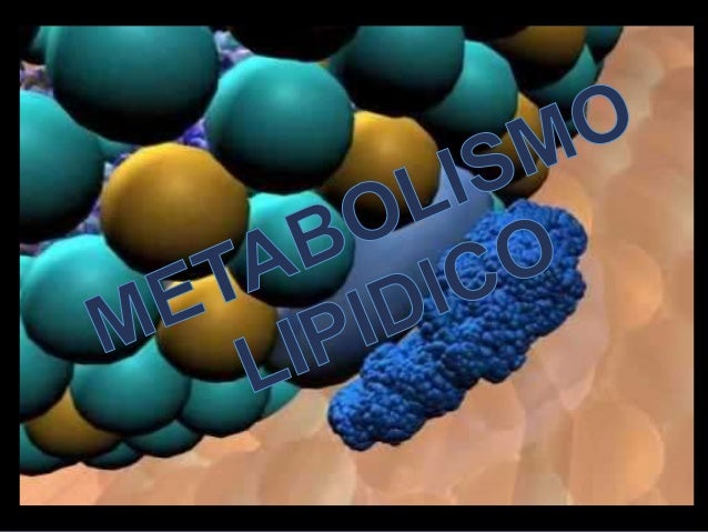 Mejor medicina para acelerador del metabolismo en farmacias