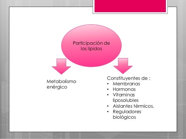 calcular tu metabolismo basal Consejos y Guía
