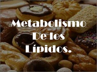 Metabolismo  De los Lípidos. 