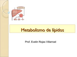 Metabolismo de lípidos

  Prof. Evelin Rojas Villarroel
 