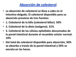 Absorción de colesterol
• La absorción de colesterol se lleva a cabo en el
intestino delgado. El colesterol disponible para su
absorción proviene de tres fuentes:
• 1. Colesterol de la bilis (colesterol biliar). 50%
• 2. Colesterol de la dieta (exógeno). 31%
• 3. Colesterol de las células epiteliales descamadas de
la pared intestinal durante el recambio celular normal.
19%
• Del total de colesterol disponible para absorción, 50%
se absorbe a través de la pared intestinal y 50% se
excreta en las heces.
 