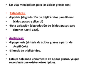 • Las vías metabólicas para los ácidos grasos son:
• Catabólicas:
• -Lipólisis (degradación de triglicéridos para liberar
• ácidos grasos y glicerol)
• -Beta oxidación (degradación de ácidos grasos para
• obtener Acetil CoA).
• Anabólicas:
• -Lipogénesis (síntesis de ácidos grasos a partir de
• Acetil CoA)
• -Síntesis de triglicéridos.
•
• Esto es hablando únicamente de ácidos grasos, ya que
recordarás que existen otros lípidos.
 