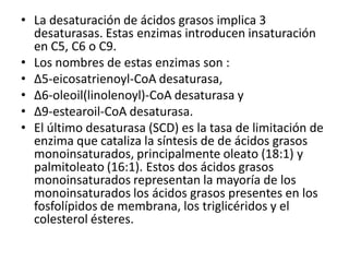 • La desaturación de ácidos grasos implica 3
desaturasas. Estas enzimas introducen insaturación
en C5, C6 o C9.
• Los nombres de estas enzimas son :
• Δ5-eicosatrienoyl-CoA desaturasa,
• Δ6-oleoil(linolenoyl)-CoA desaturasa y
• Δ9-estearoil-CoA desaturasa.
• El último desaturasa (SCD) es la tasa de limitación de
enzima que cataliza la síntesis de de ácidos grasos
monoinsaturados, principalmente oleato (18:1) y
palmitoleato (16:1). Estos dos ácidos grasos
monoinsaturados representan la mayoría de los
monoinsaturados los ácidos grasos presentes en los
fosfolípidos de membrana, los triglicéridos y el
colesterol ésteres.
 