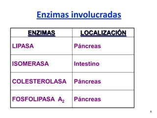 4
Enzimas involucradas
ENZIMAS LOCALIZACIÓN
LIPASA Páncreas
ISOMERASA Intestino
COLESTEROLASA Páncreas
FOSFOLIPASA A2 Páncreas
 