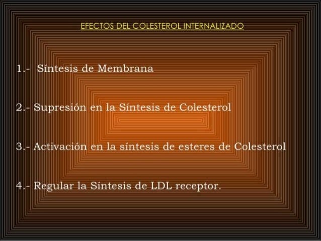 funciones del metabolismo suplements