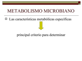 METABOLISMO MICROBIANO
   Las características metabólicas específicas



         principal criterio para determinar
 