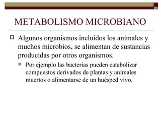 METABOLISMO MICROBIANO
   Algunos organismos incluidos los animales y
    muchos microbios, se alimentan de sustancias
    producidas por otros organismos.
       Por ejemplo las bacterias pueden catabolizar
        compuestos derivados de plantas y animales
        muertos o alimentarse de un huésped vivo.
 