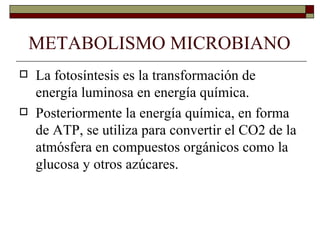 METABOLISMO MICROBIANO
   La fotosíntesis es la transformación de
    energía luminosa en energía química.
   Posteriormente la energía química, en forma
    de ATP, se utiliza para convertir el CO2 de la
    atmósfera en compuestos orgánicos como la
    glucosa y otros azúcares.
 