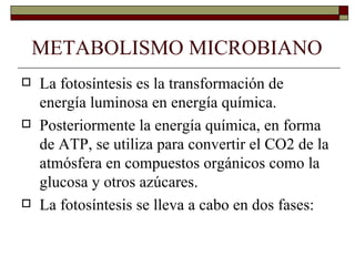 METABOLISMO MICROBIANO
   La fotosíntesis es la transformación de
    energía luminosa en energía química.
   Posteriormente la energía química, en forma
    de ATP, se utiliza para convertir el CO2 de la
    atmósfera en compuestos orgánicos como la
    glucosa y otros azúcares.
   La fotosíntesis se lleva a cabo en dos fases:
 
