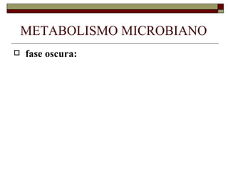 METABOLISMO MICROBIANO
   fase oscura:
 