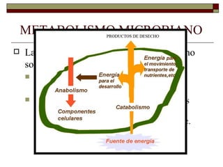 METABOLISMO MICROBIANO
   Las principales funciones del metabolismo
    son:
       Formar las subunidades que luego serán
        utilizadas en la síntesis de macromoléculas
       Proporcionar la energía necesaria para todos
        aquellos procesos que la requieran como
        transporte activo, movilidad, biosíntesis, etc.
 