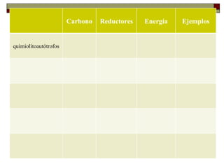 Carbono   Reductores   Energía   Ejemplos
    METABOLISMO MICROBIANO
quimiolitoautótrofos
    Tipos de metabolismo
 