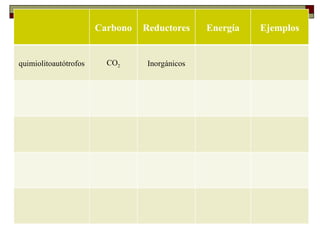 Carbono   Reductores    Energía   Ejemplos
    METABOLISMO MICROBIANO
quimiolitoautótrofos     CO2     Inorgánicos
    Tipos de metabolismo
 