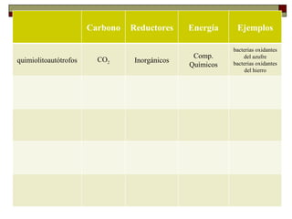 Carbono   Reductores    Energía     Ejemplos
    METABOLISMO MICROBIANO                                bacterias oxidantes
                                                Comp.         del azufre
quimiolitoautótrofos     CO2     Inorgánicos              bacterias oxidantes
                                               Químicos
    Tipos de metabolismo                                      del hierro
 