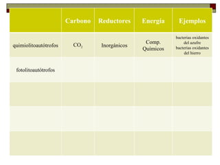 Carbono   Reductores    Energía     Ejemplos
    METABOLISMO MICROBIANO                                bacterias oxidantes
                                                Comp.         del azufre
quimiolitoautótrofos     CO2     Inorgánicos              bacterias oxidantes
                                               Químicos
    Tipos de metabolismo                                      del hierro



 fotolitoautótrofos
 