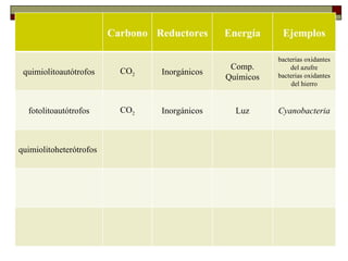 Carbono Reductores     Energía     Ejemplos
    METABOLISMO MICROBIANO                                 bacterias oxidantes
                                                 Comp.         del azufre
 quimiolitoautótrofos      CO2    Inorgánicos              bacterias oxidantes
                                                Químicos
    Tipos de metabolismo                                       del hierro



  fotolitoautótrofos       CO2    Inorgánicos     Luz      Cyanobacteria



quimiolitoheterótrofos
 