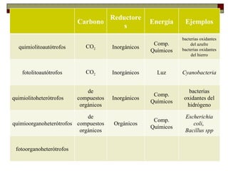 Reductore
                          Carbono                    Energía     Ejemplos
                                           s
    METABOLISMO MICROBIANO                                      bacterias oxidantes
                                                      Comp.         del azufre
  quimiolitoautótrofos       CO2       Inorgánicos              bacterias oxidantes
                                                     Químicos
    Tipos de metabolismo                                            del hierro



    fotolitoautótrofos       CO2       Inorgánicos     Luz      Cyanobacteria


                              de                                   bacterias
                                                      Comp.
quimiolitoheterótrofos    compuestos   Inorgánicos               oxidantes del
                                                     Químicos
                           orgánicos                              hidrógeno

                             de                                  Escherichia
                                                      Comp.
quimioorganoheterótrofos compuestos     Orgánicos                   coli,
                                                     Químicos
                          orgánicos                              Bacillus spp


 fotoorganoheterótrofos
 