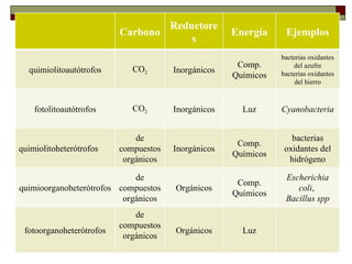 Reductore
                          Carbono                    Energía     Ejemplos
                                      s
    METABOLISMO MICROBIANO                                      bacterias oxidantes
                                                      Comp.         del azufre
  quimiolitoautótrofos       CO2       Inorgánicos              bacterias oxidantes
                                                     Químicos
    Tipos de metabolismo                                            del hierro



    fotolitoautótrofos       CO2       Inorgánicos     Luz      Cyanobacteria


                              de                                   bacterias
                                                      Comp.
quimiolitoheterótrofos    compuestos   Inorgánicos               oxidantes del
                                                     Químicos
                           orgánicos                              hidrógeno

                             de                                  Escherichia
                                                      Comp.
quimioorganoheterótrofos compuestos    Orgánicos                    coli,
                                                     Químicos
                          orgánicos                              Bacillus spp
                              de
                          compuestos
 fotoorganoheterótrofos                Orgánicos       Luz
                           orgánicos
 