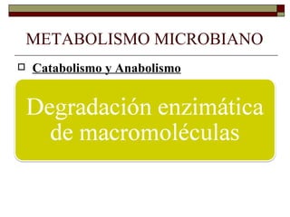 METABOLISMO MICROBIANO
   Catabolismo y Anabolismo
   Catabolismo:
 