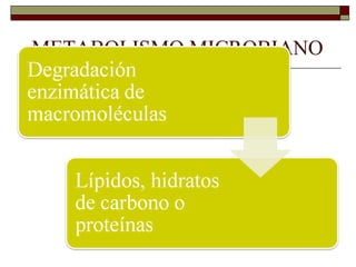 METABOLISMO MICROBIANO
   Catabolismo y Anabolismo
   Catabolismo:
 