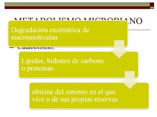 METABOLISMO MICROBIANO
   Catabolismo y Anabolismo
   Catabolismo:
 
