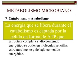 METABOLISMO MICROBIANO
 Catabolismo y Anabolismo
 Catabolismo:
La energía que se libera durante el
 Esta degradación se acompaña de la
  liberación de una grancaptada por la ya
   catabolismo es cantidad de energía,
  que a partir de forma de ATP que
    célula en estas macromoléculas
  estructura compleja y alto contenido
  energético se obtienen moléculas sencillas
  estructuralmente y de bajo contenido
  energético.
 