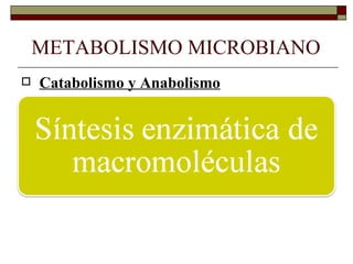 METABOLISMO MICROBIANO
   Catabolismo y Anabolismo
   Anabolismo:
 