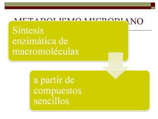 METABOLISMO MICROBIANO
   Catabolismo y Anabolismo
   Anabolismo:
 