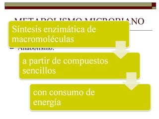 METABOLISMO MICROBIANO
   Catabolismo y Anabolismo
   Anabolismo:
 