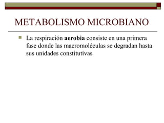 METABOLISMO MICROBIANO
   La respiración aerobia consiste en una primera
    fase donde las macromoléculas se degradan hasta
    sus unidades constitutivas
 