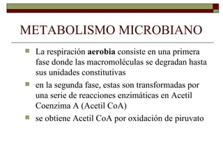 METABOLISMO MICROBIANO
   La respiración aerobia consiste en una primera
    fase donde las macromoléculas se degradan hasta
    sus unidades constitutivas
   en la segunda fase, estas son transformadas por
    una serie de reacciones enzimáticas en Acetil
    Coenzima A (Acetil CoA)
   se obtiene Acetil CoA por oxidación de piruvato
 