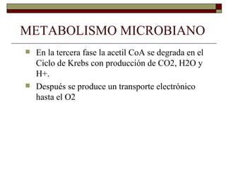 METABOLISMO MICROBIANO
   En la tercera fase la acetil CoA se degrada en el
    Ciclo de Krebs con producción de CO2, H2O y
    H+.
   Después se produce un transporte electrónico
    hasta el O2
 