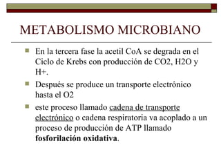 METABOLISMO MICROBIANO
   En la tercera fase la acetil CoA se degrada en el
    Ciclo de Krebs con producción de CO2, H2O y
    H+.
   Después se produce un transporte electrónico
    hasta el O2
   este proceso llamado cadena de transporte
    electrónico o cadena respiratoria va acoplado a un
    proceso de producción de ATP llamado
    fosforilación oxidativa.
 