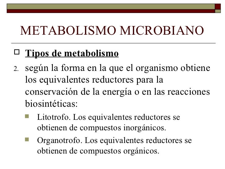 metabolismo anabolismo y catabolismo simptoms