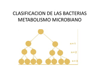 CLASIFICACION DE LAS BACTERIAS
METABOLISMO MICROBIANO
 