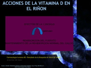 ACCIONES DE LA VITAMINA D EN
EL RIÑON
EFECTOS DE LA 1,25(OH)2D
REABSORCION DEL FOSFATO
MANTENIMIENTO DE LA REABSORCION NOR...
