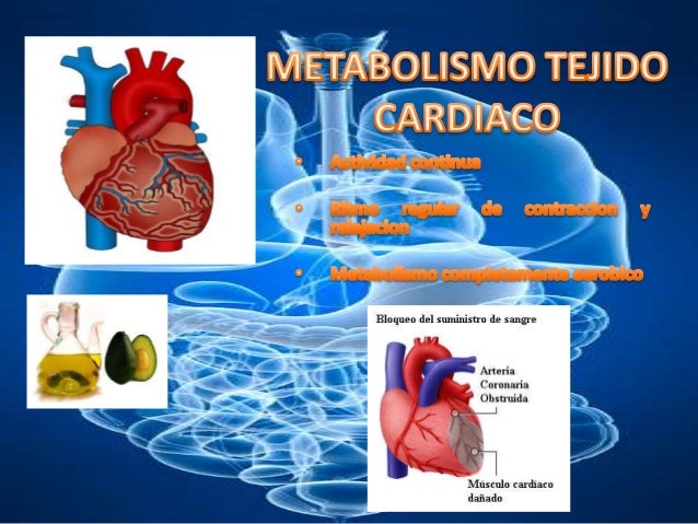 Ideas para ayudarle con calcular metabolismo basal formula