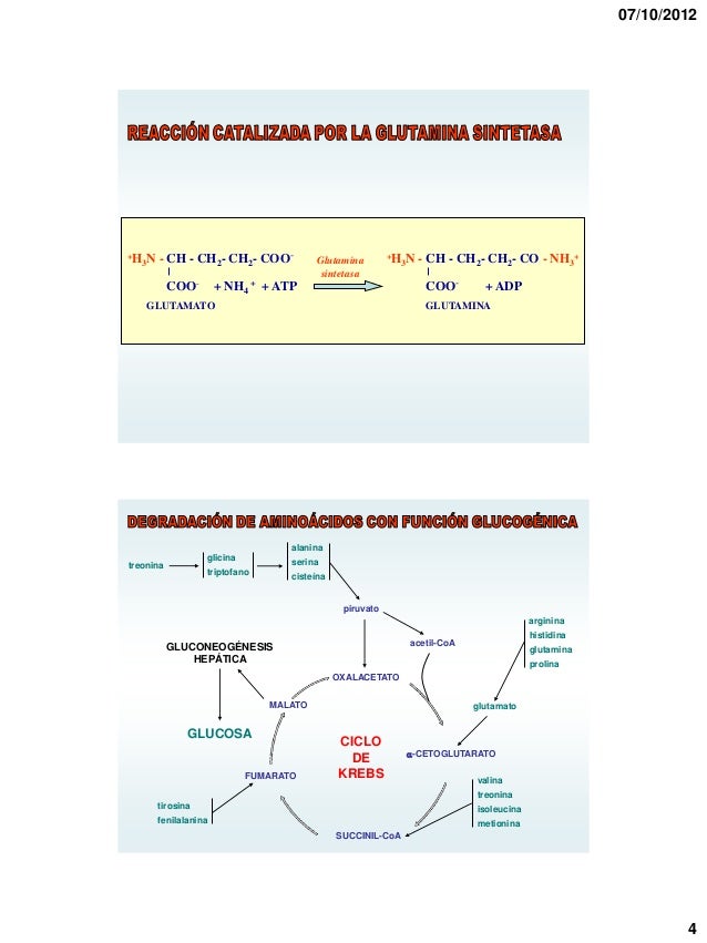 Cinco cuestiones sobre metabolismo del calcio y fosforo
