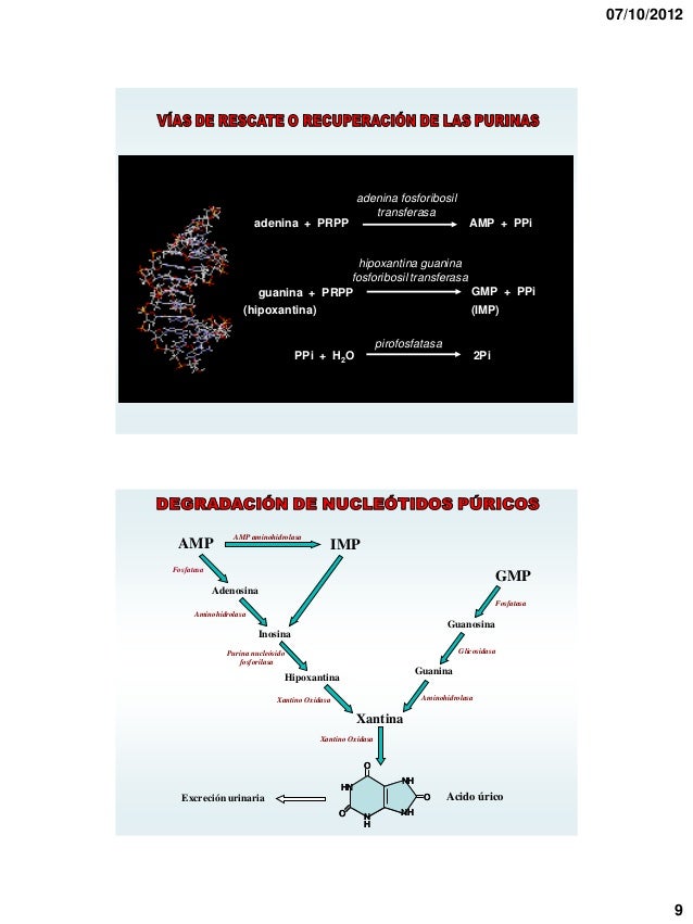 metabolismo glucogeno son un problema serius?