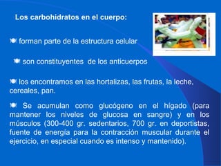 Los carbohidratos en el cuerpo:
 forman parte de la estructura celular
 son constituyentes de los anticuerpos
 los encontramos en las hortalizas, las frutas, la leche,
cereales, pan.
 Se acumulan como glucógeno en el hígado (para
mantener los niveles de glucosa en sangre) y en los
músculos (300-400 gr. sedentarios, 700 gr. en deportistas,
fuente de energía para la contracción muscular durante el
ejercicio, en especial cuando es intenso y mantenido).
 
